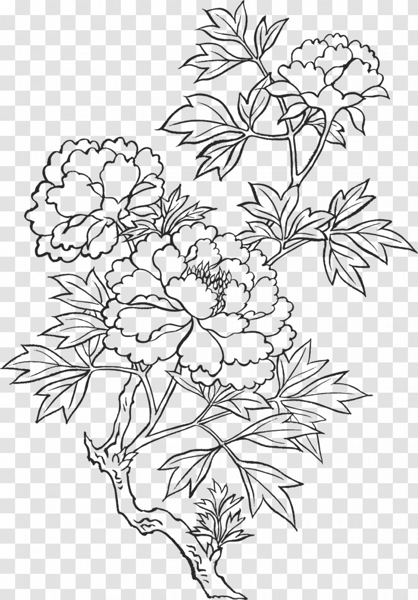 Peony Drawing Art Sketch - Monochrome Transparent PNG