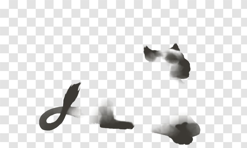 Kitten Lion Felidae Vitiligo - Black And White Transparent PNG