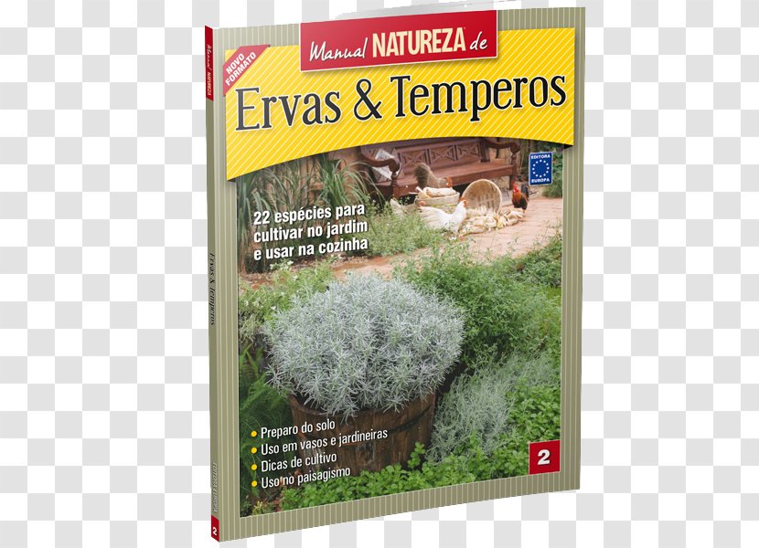 Herbaceous Plant Condiment Jardim De Ervas Window Box Flower - Grass Transparent PNG