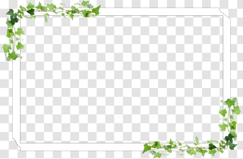 Picture Frames Floral Design Leaf Pattern - Rectangle Transparent PNG
