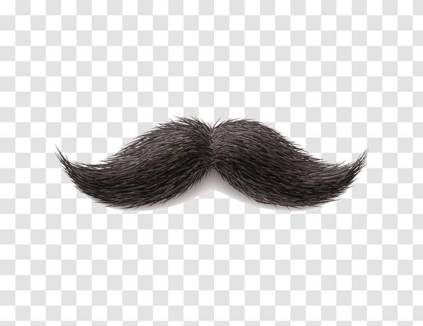 Handlebar Moustache Clip Art Image - Beard Transparent PNG