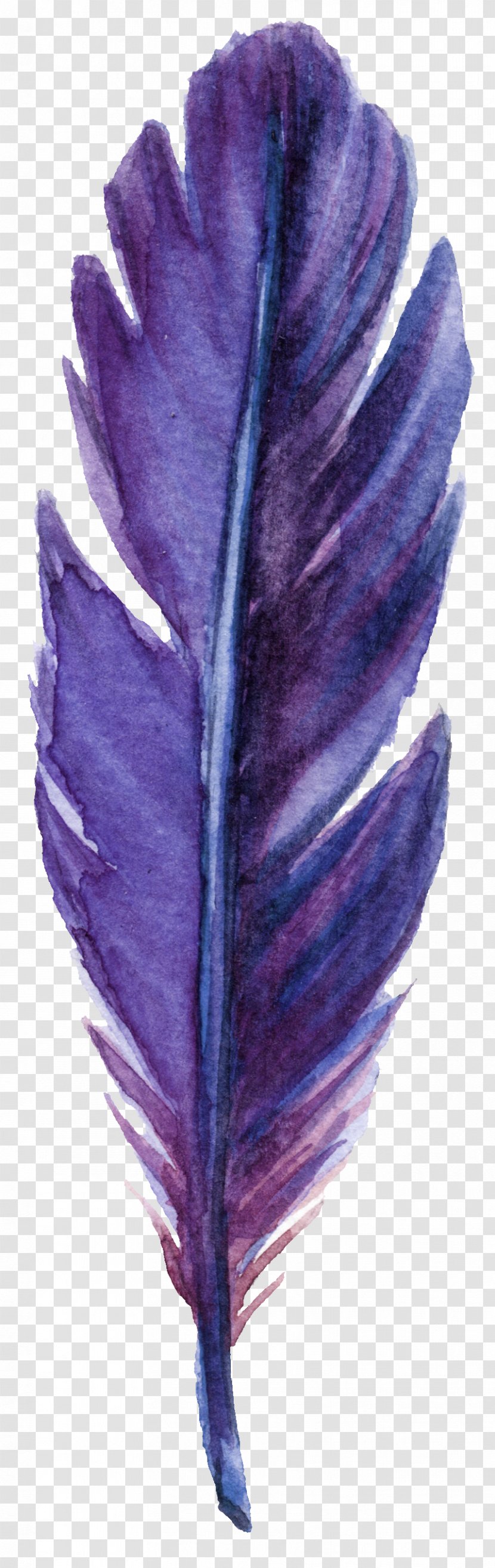Feather Purple Leaf Green - Flower - Leaves Transparent PNG