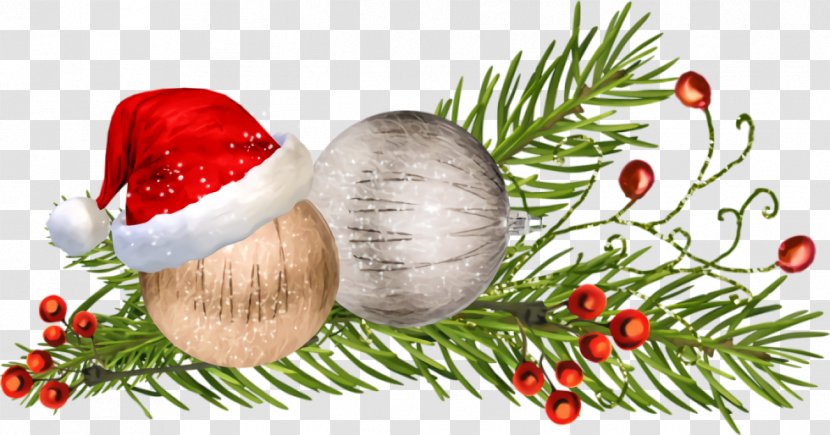 Christmas Ornaments Decoration - Branch - Pine Family Conifer Transparent PNG
