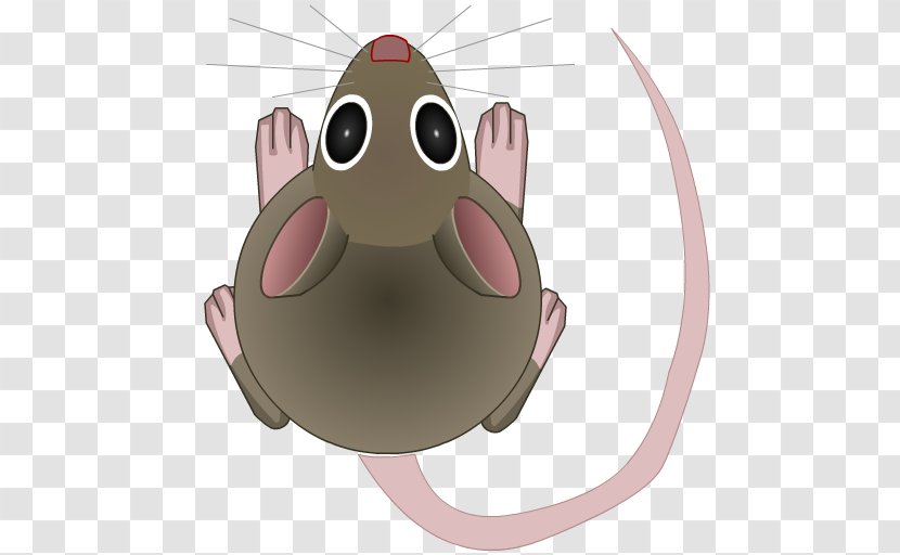 Cat Play And Toys Amazon.com Mouse - Rodent - Cartoon Transparent PNG