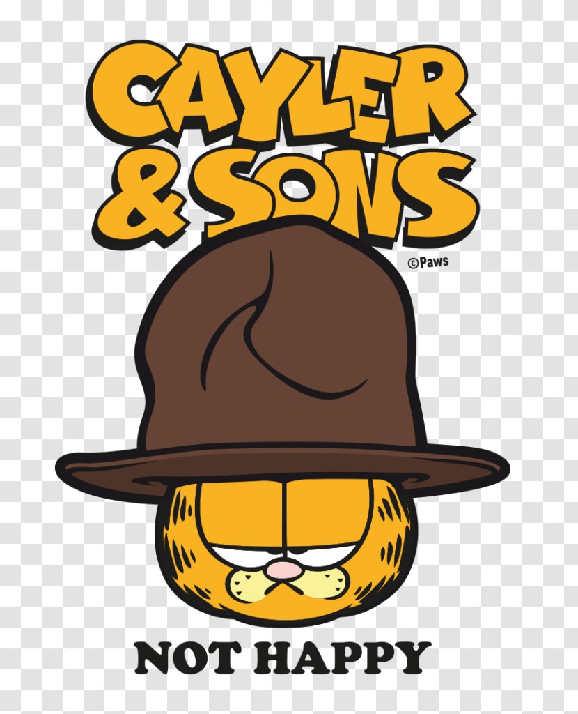 Garfield Son Culture Grumpy Cat Cartoon - Heart Transparent PNG