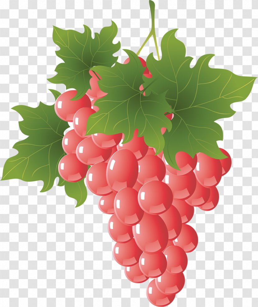 Fruit Grape Auglis - Natural Foods - Grapes Transparent PNG