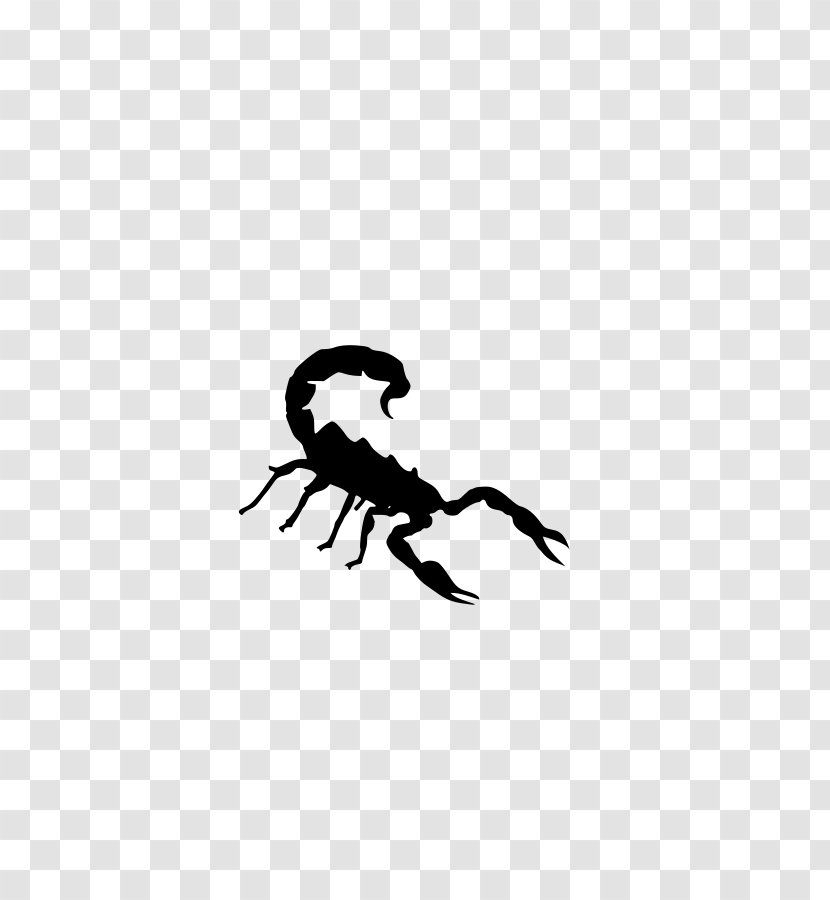 Scorpion Clip Art - Website - Size Cliparts Transparent PNG