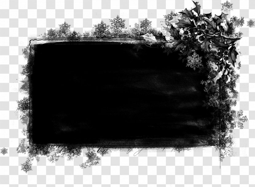 Black Black-and-white Tree Plant Hair Transparent PNG