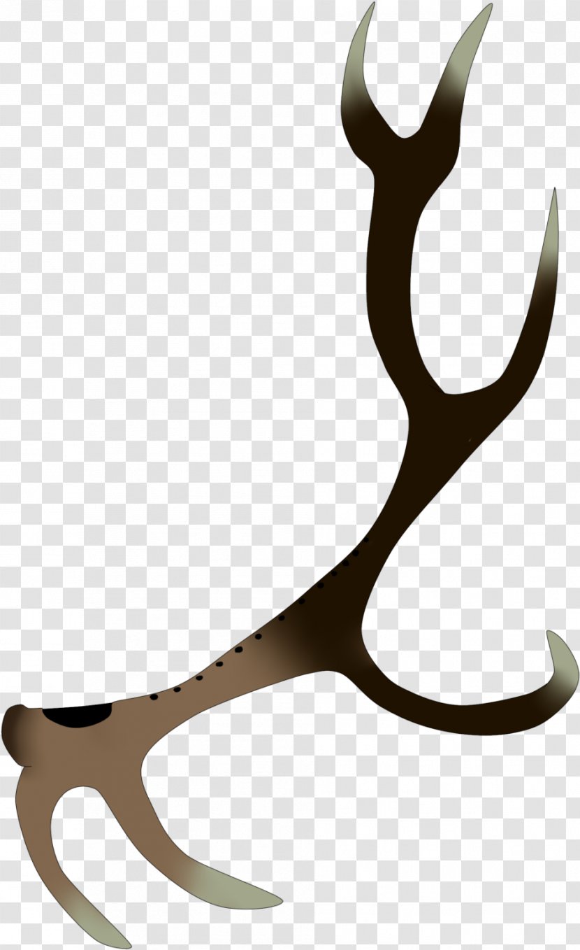 Drawing Horn - Musical Instruments - Deer Transparent PNG