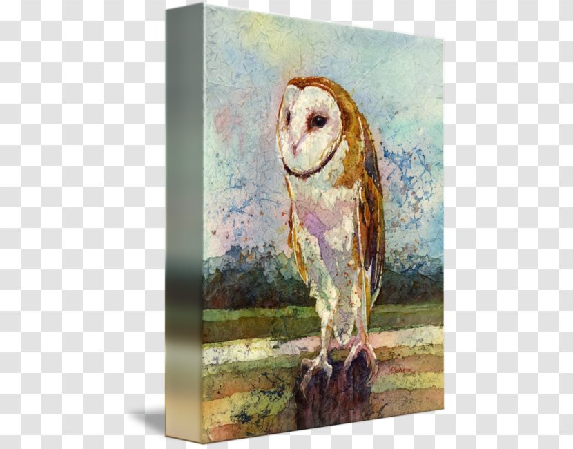 Owl Watercolor Painting Watermedia Bird - Paint - Barn Transparent PNG
