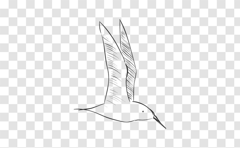 Bird Drawing - Anatidae Transparent PNG