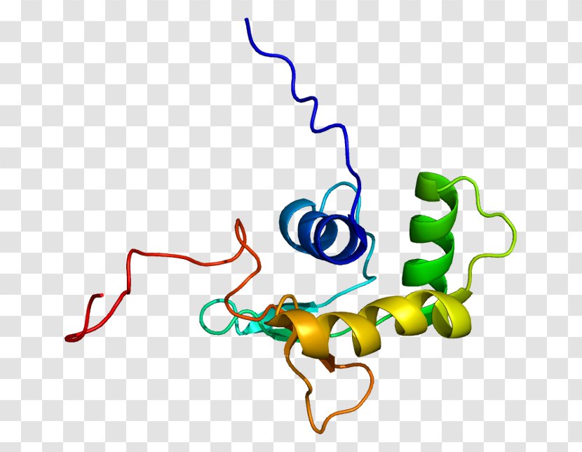 ELF5 Protein Gene UniProt P53 - Re1silencing Transcription Factor - Artwork Transparent PNG