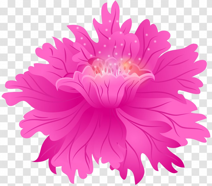 Pink Flower China Aster Petal Plant - Cut Flowers Transparent PNG