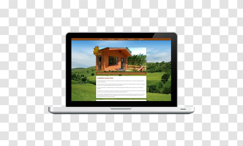 Web Development Responsive Design - Display Advertising Transparent PNG