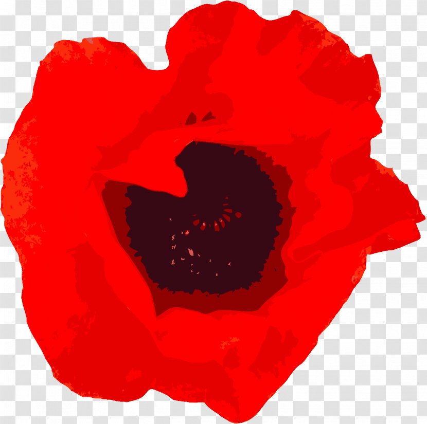 Garden Roses Remembrance Poppy Military - Background Rose Transparent PNG