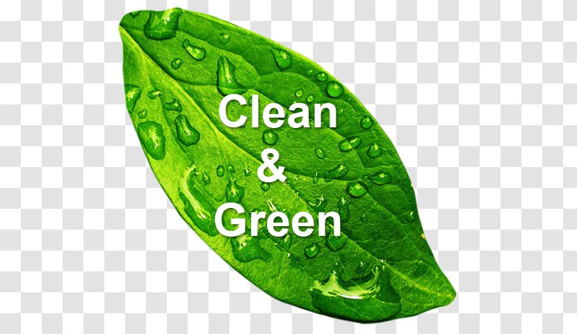 Green Cleaning Natural Environment Environmentally Friendly Cleaner - Sustainability - Clean Transparent PNG