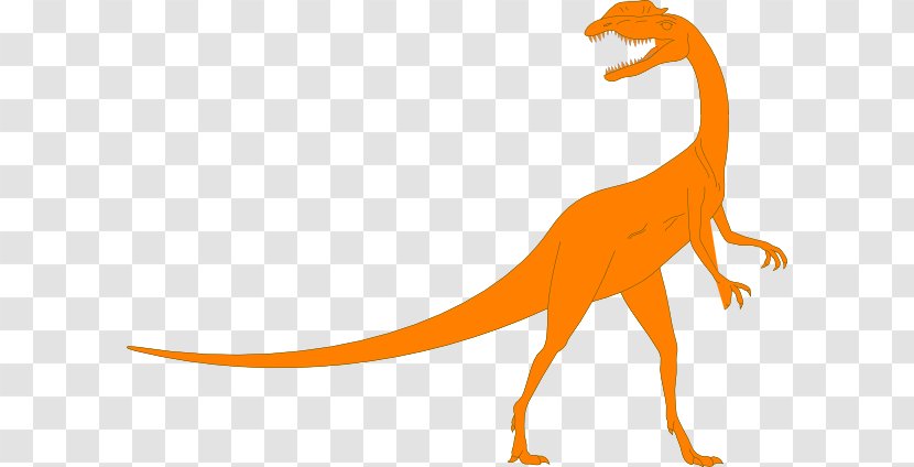 Velociraptor Clip Art Diplodocus Tyrannosaurus Dinosaur - Tail - Clipart Transparent PNG
