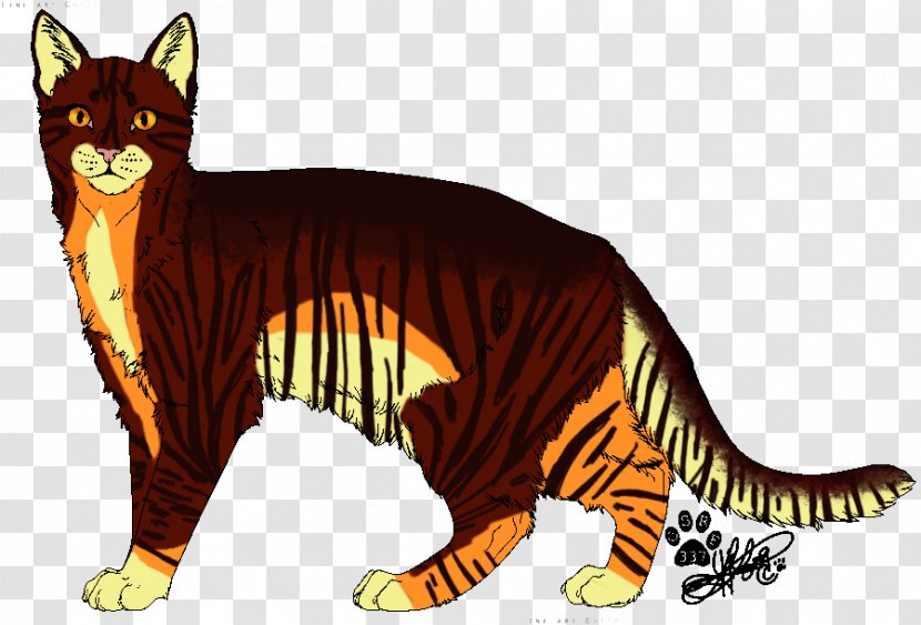 Whiskers Wildcat Tiger Red Fox - Cat Transparent PNG