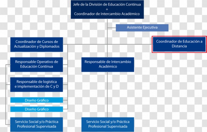 School Of Architecture, UNAM National Autonomous University Mexico Organizational Chart - Faculty - Documentos Transparent PNG