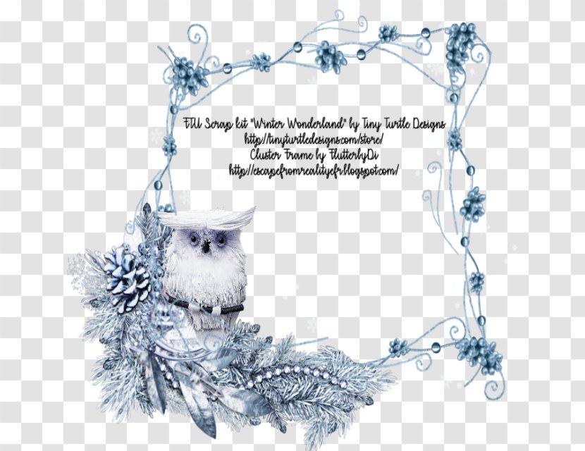 Owl Bird Picture Frames - Reality Television Transparent PNG