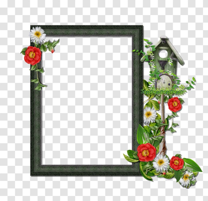 Picture Frames Roisin O'Hagan Image Flower Portable Network Graphics - Bordiura - Frammes Cartoon Transparent PNG