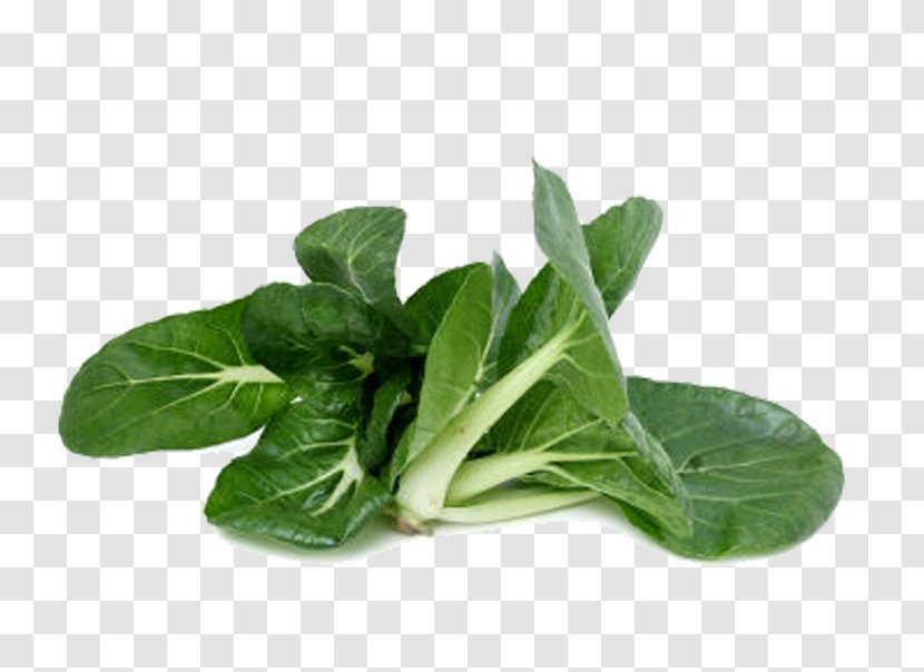 Choy Sum Spring Greens Chard Napa Cabbage Vegetable - Komatsuna - Green Transparent PNG