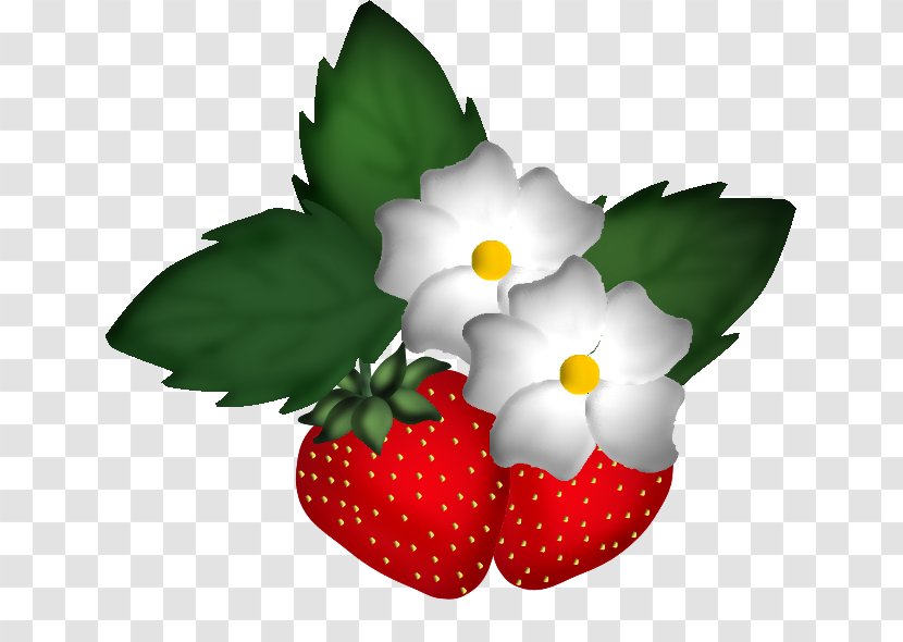 Strawberry Amorodo - Flowerpot Transparent PNG