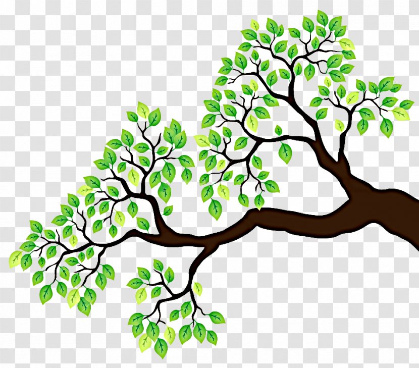 Branch Tree Drawing Clip Art Plant Branches Clipart Transparent Png