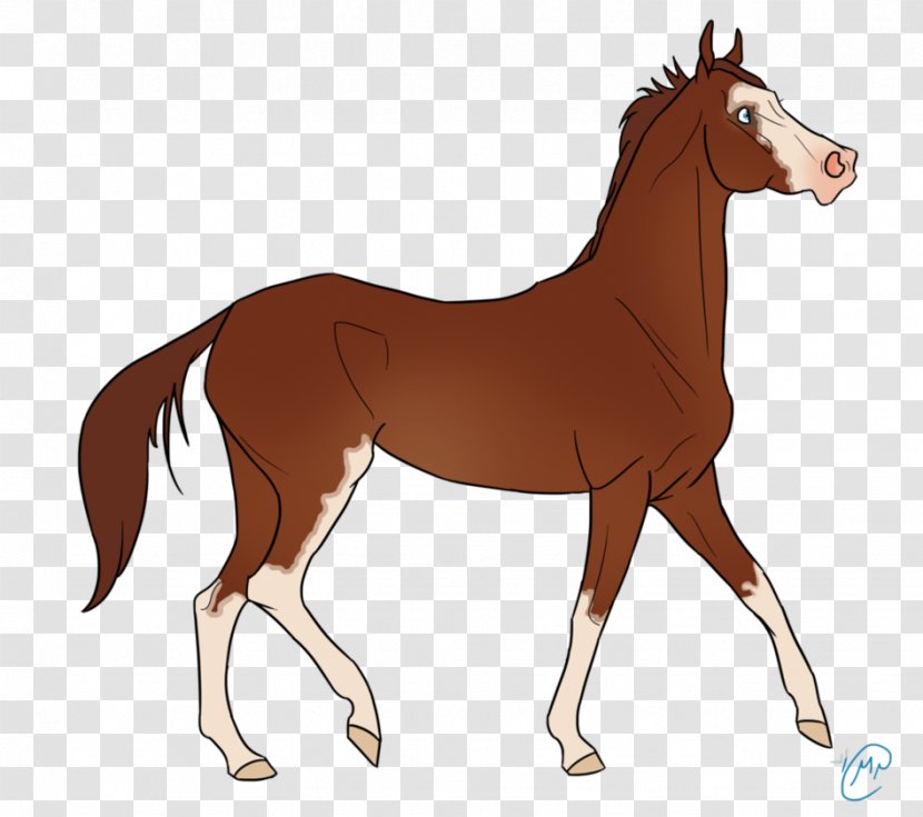 Mustang Foal Mare Stallion Colt - Horse Like Mammal Transparent PNG