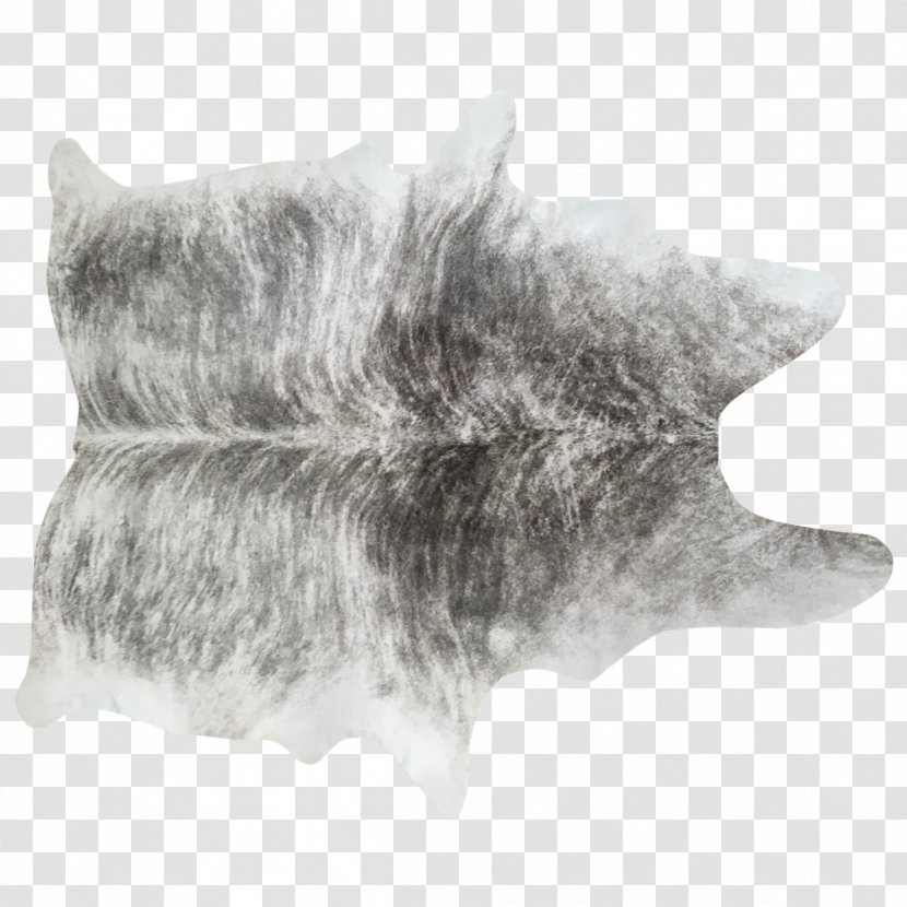 Dog Whiskers Fur Mammal Snout - Cat Transparent PNG