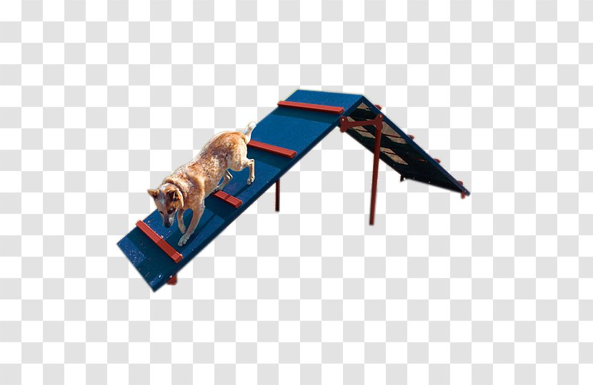 Dog Park Training Agility Obstacle Course - Summer Playground Safety Transparent PNG