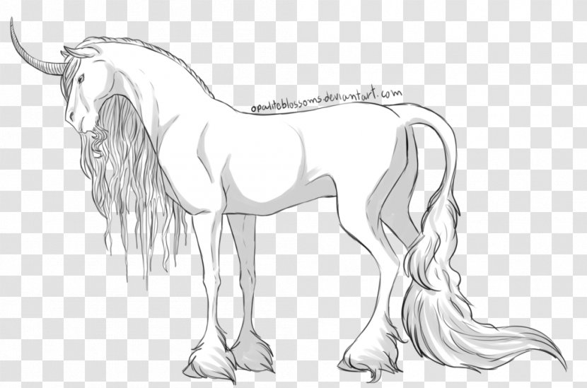 Mustang Pony Drawing Pack Animal Sketch - Shaded Transparent PNG