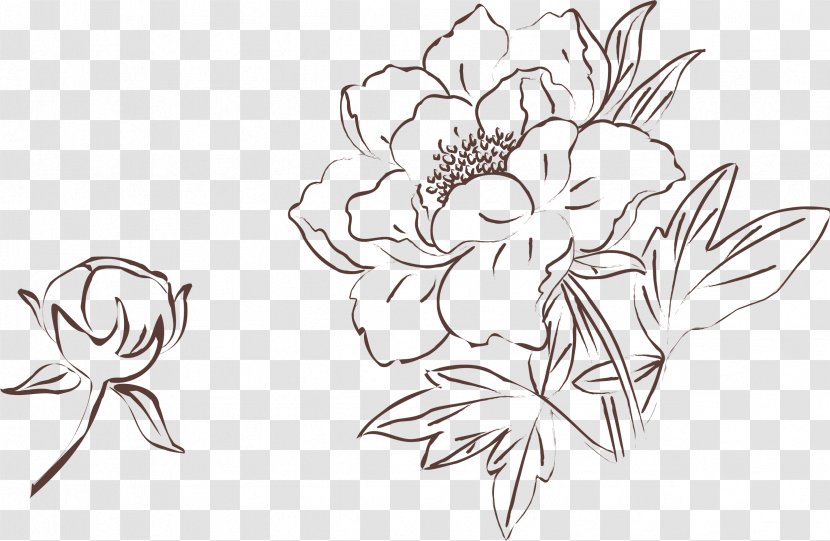 Moutan Peony Drawing Painting - Monochrome Photography - Sketch Of Material Transparent PNG
