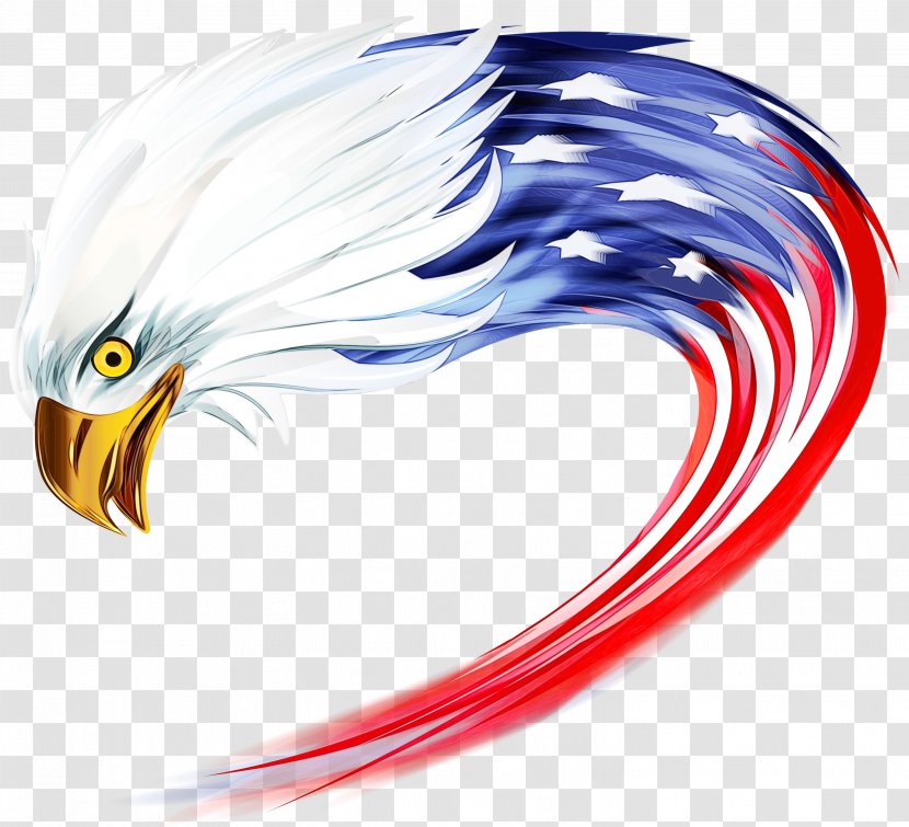 United States Bald Eagle Clip Art Transparent PNG
