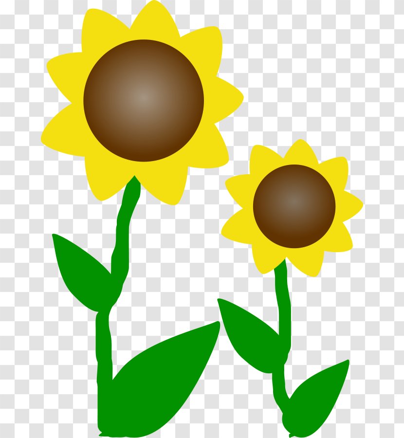 Common Sunflower Iron Man Clip Art - Artwork - Yellow Flowers Transparent PNG