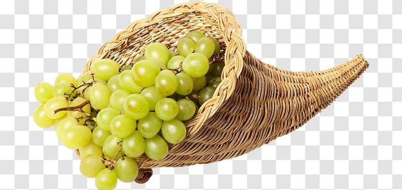 Common Grape Vine Sultana Online Chat Internet Forum - Grapevines Transparent PNG