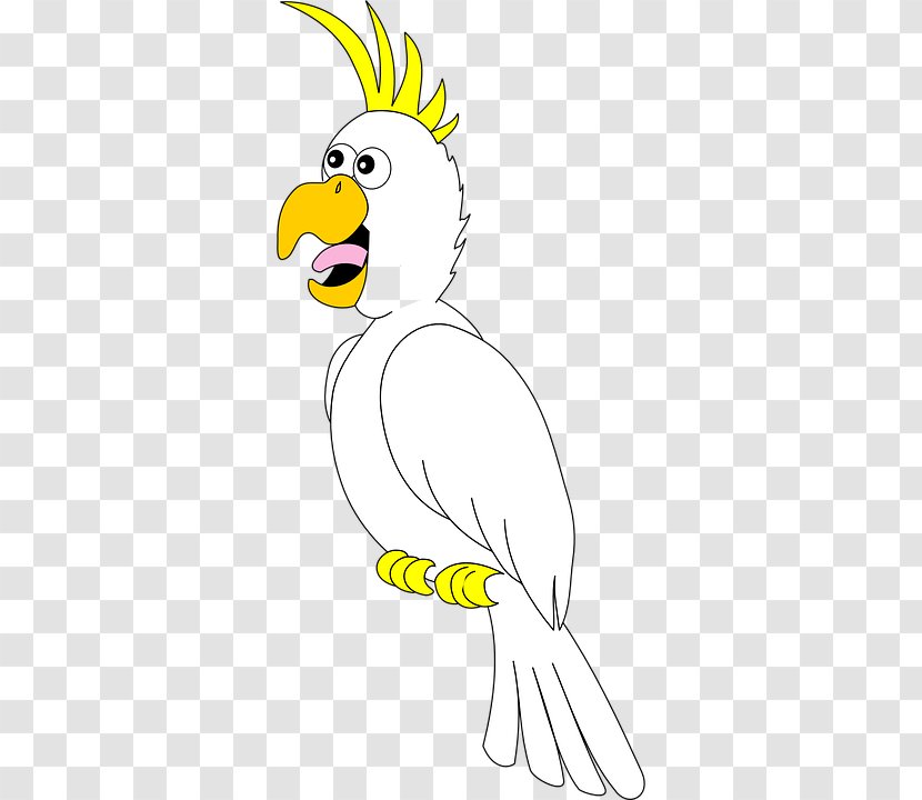 Bird True Parrot Cockatoo Amazon Rooster - Drawing - Happy Transparent PNG