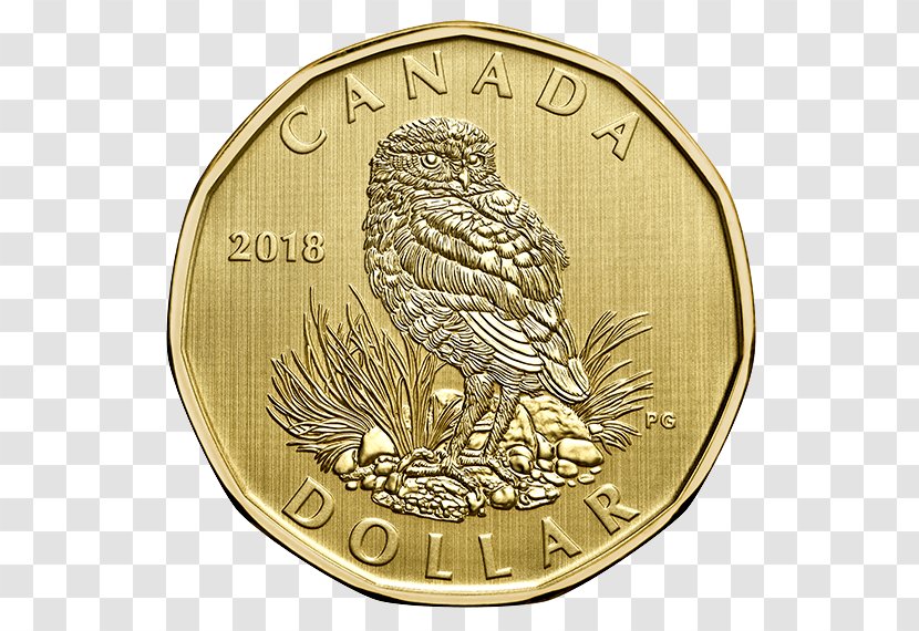 Coin Set Dollar Gold Royal Canadian Mint Transparent PNG