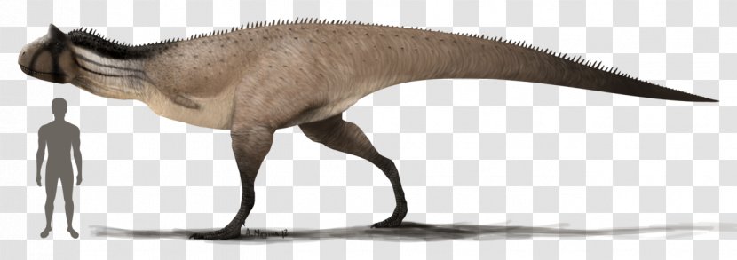 Carnotaurus Tyrannosaurus Allosaurus Dinosaur Dilophosaurus - Animal Figure Transparent PNG