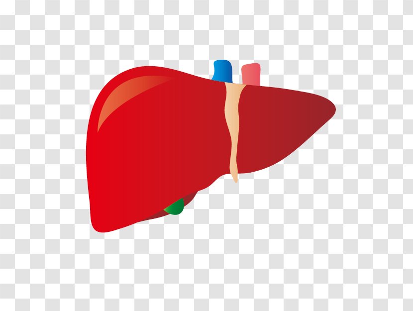 Liver Disease Dietary Supplement プレジデントオンライン Hepatitis B - Silhouette - Frame Transparent PNG