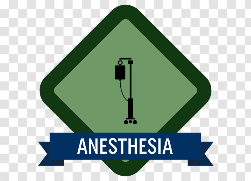 Student Engagement Google Classroom Education Teacher - Area - Anesthetic Transparent PNG