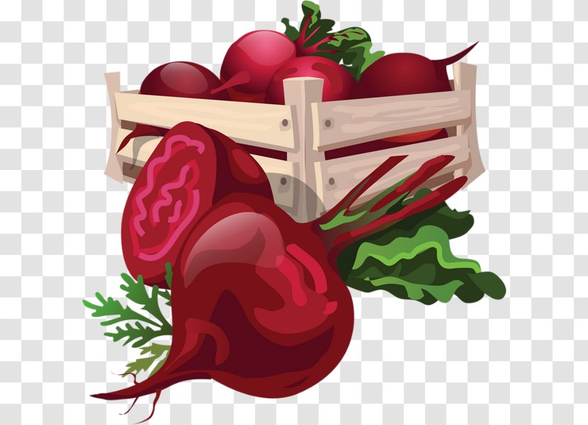 Vegetable Food Beetroot Clip Art - Cartoon Transparent PNG