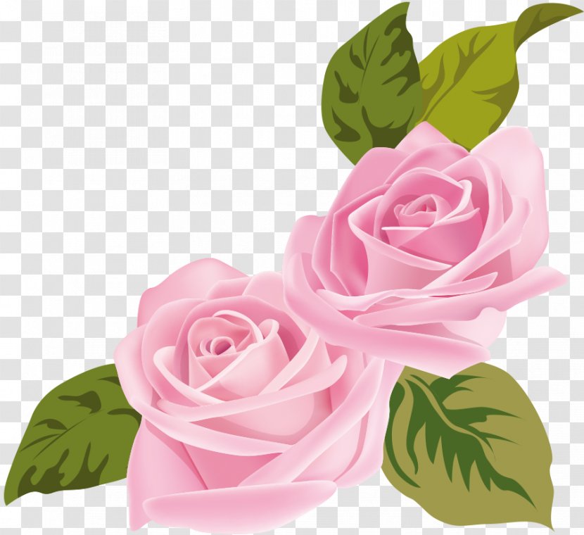 Rose Photography Royalty-free Clip Art - Flower Transparent PNG