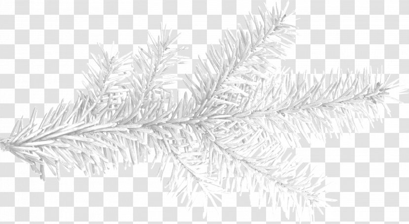 Icicle Animation - Leaf - Winter Elements Transparent PNG