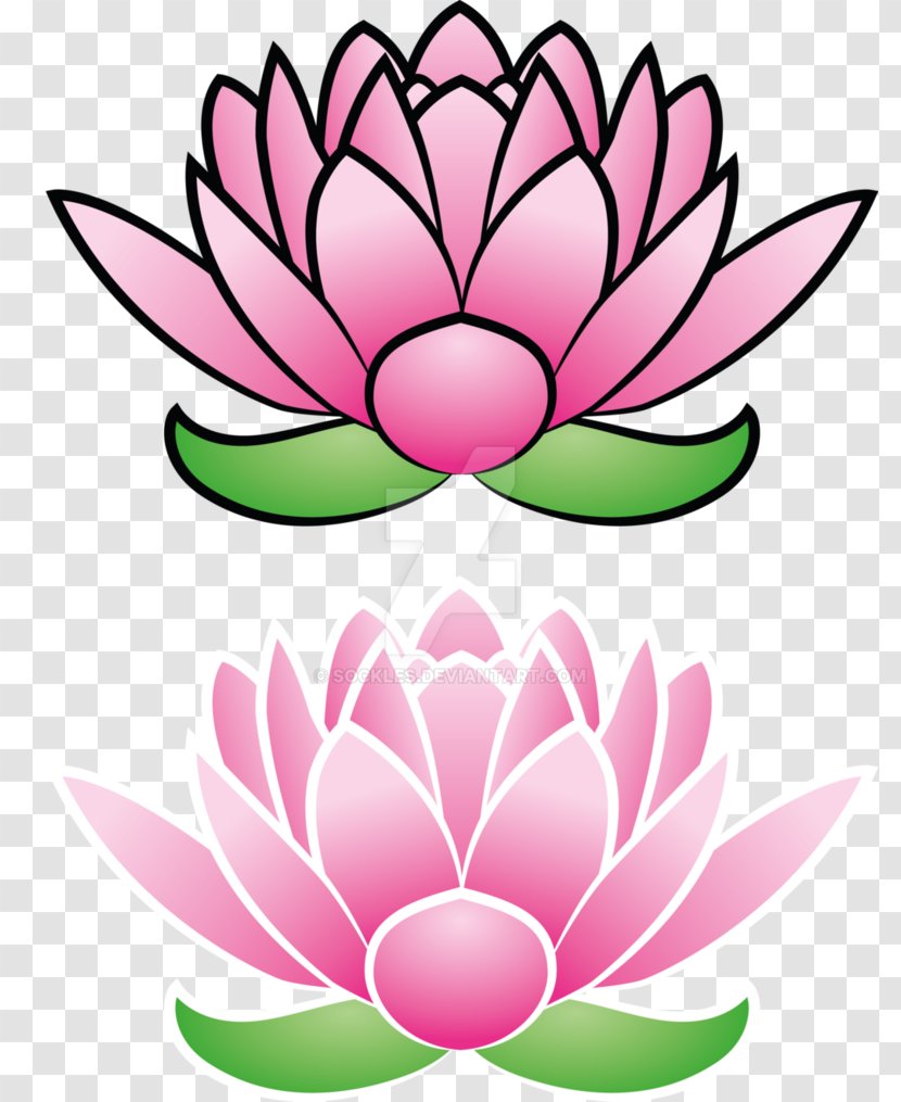 Cut Flowers Nelumbo Nucifera Petal Plant - Meaning - Lotus Transparent PNG