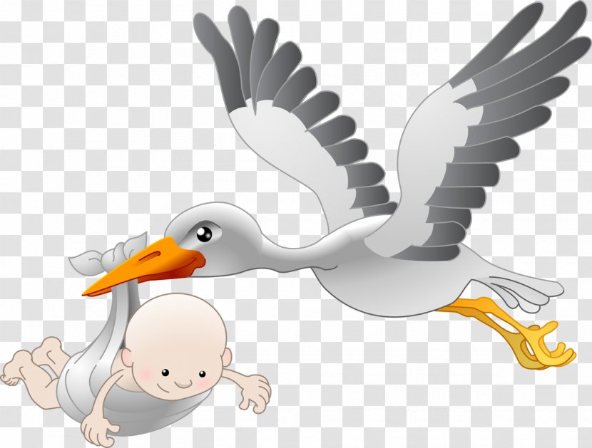 White Stork Bird Infant - Wing Transparent PNG