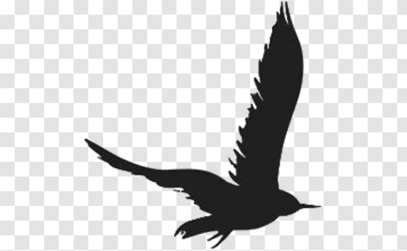 Starling Estate Bird Eagle Beak Goose - Silhouette Transparent PNG