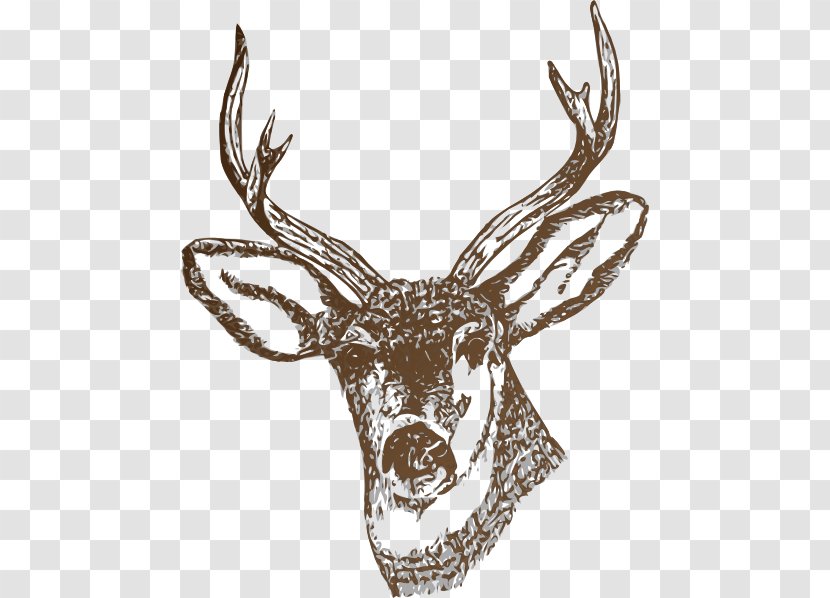 White-tailed Deer Reindeer Clip Art - Hunting - Realistic Cliparts Transparent PNG