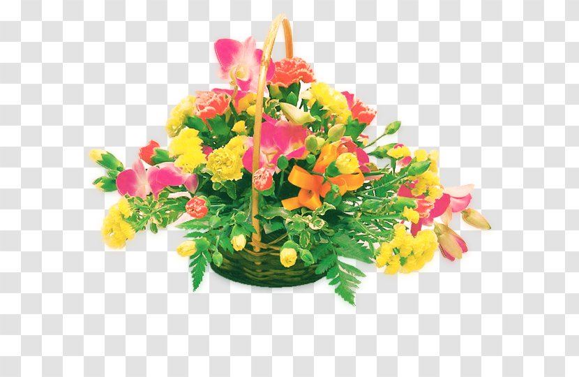 Taishan Flower Birthday Qihai - Information - Yellowish Pink Baskets Child Transparent PNG