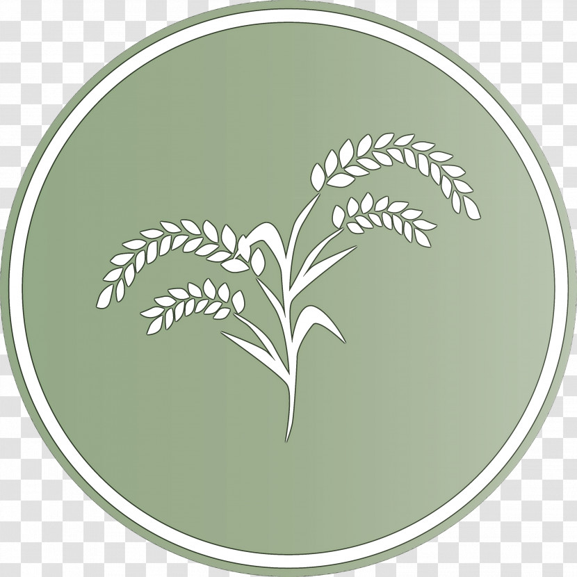 Oats Wheat Oats Logo Transparent PNG